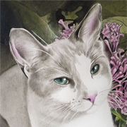 Piri in Lilacs