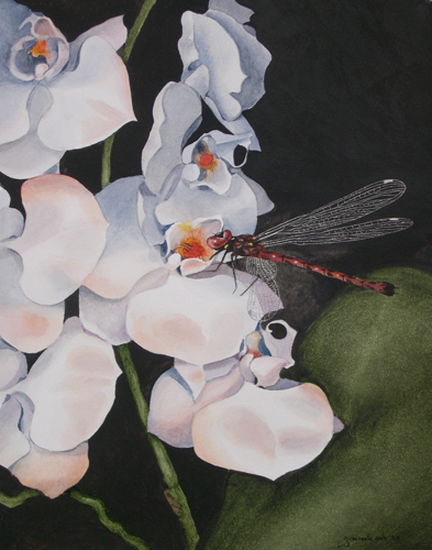 Dragonflower