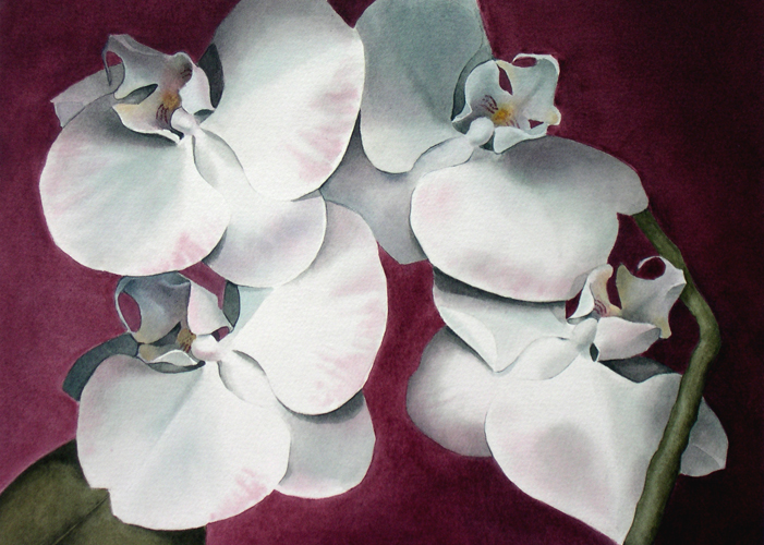 Quartet