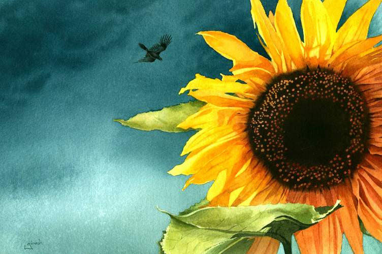 Vincent's Field