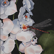 Dragonflower
