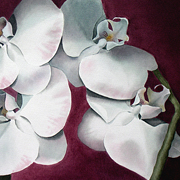 Quartet